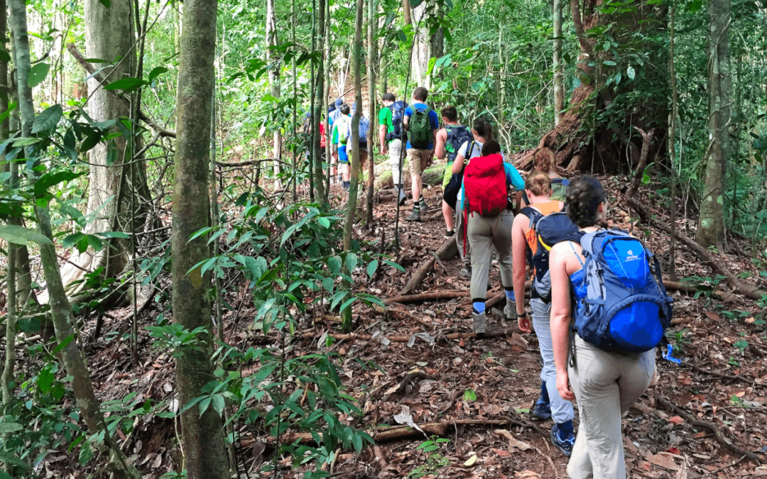 Exploring Tropical Ecosystems