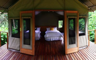 Visit Scalesia Lodge: Safari-Style Galapagos Luxury in Isabela Highlands