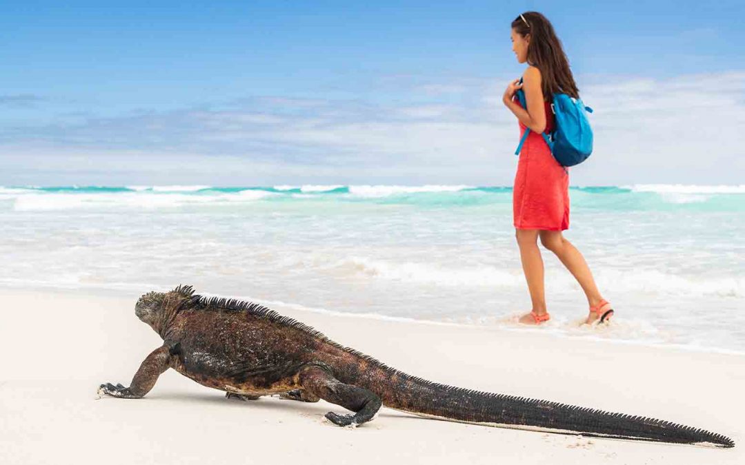 For Your Next Beach Vacations 6 Must-See Galapagos Island Beaches