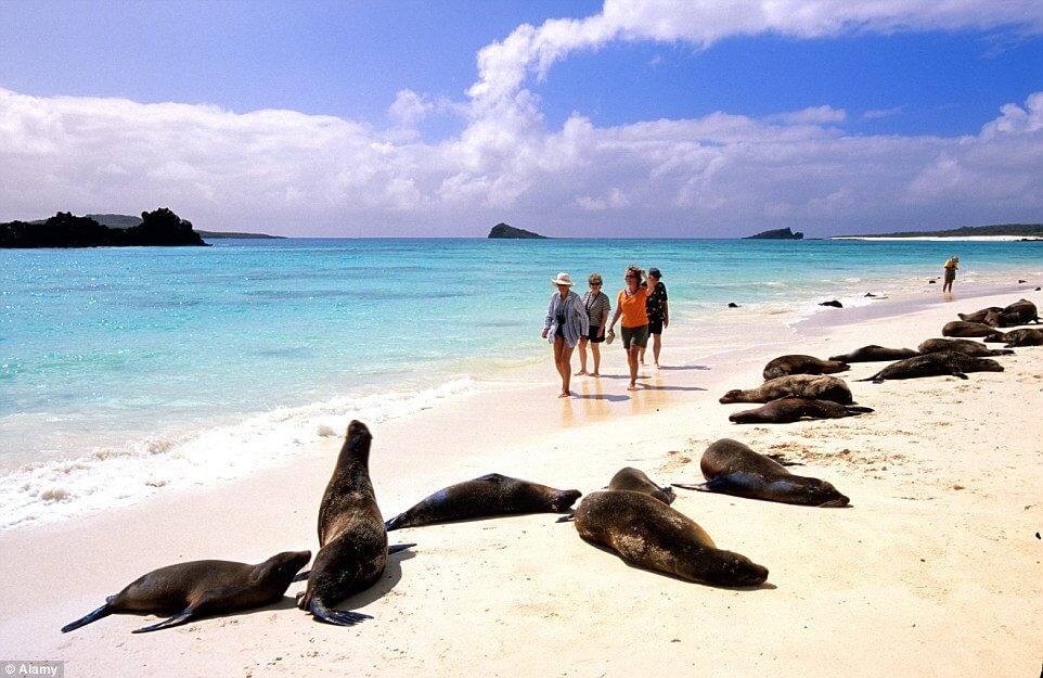 Galapagos By Land & Sea