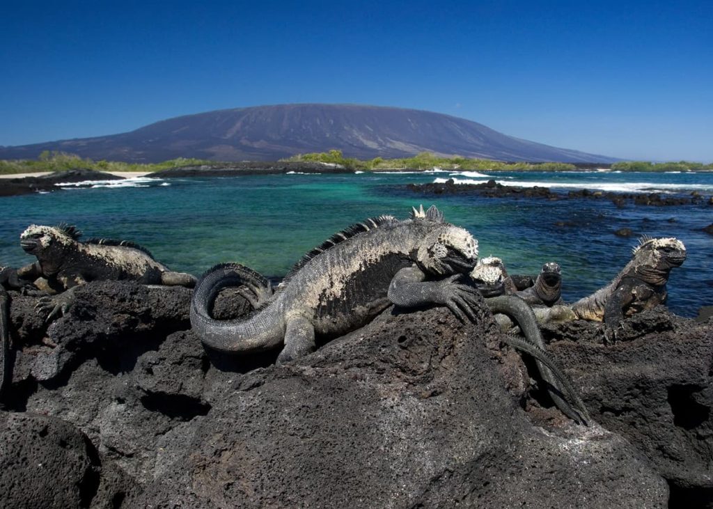 Guide to Galapagos Islands Names: 33 Islands and Islets | Latin Roots