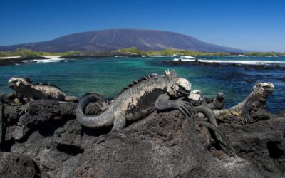 Guide to Galapagos Islands Names: 33 Islands and Islets